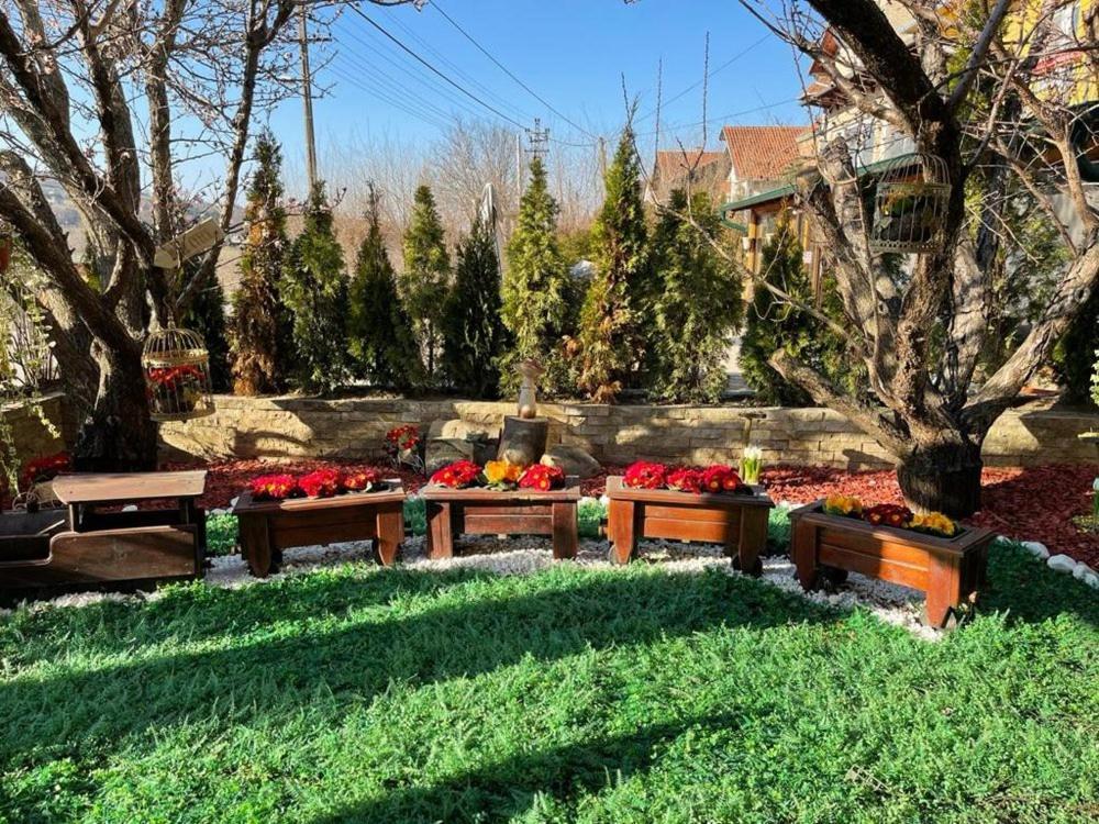 Vila Prezident سرمسكي كارلوفيتش المظهر الخارجي الصورة